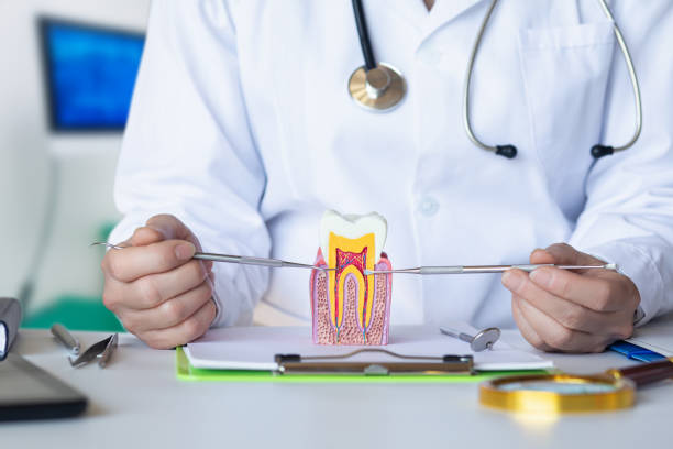 Best Emergency Orthodontic Repairs in Olivet, MI